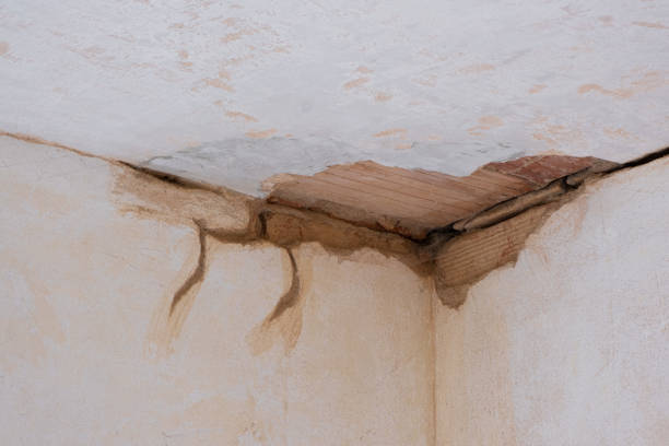 Best 24/7 water damage repair  in Penn Wynne, PA