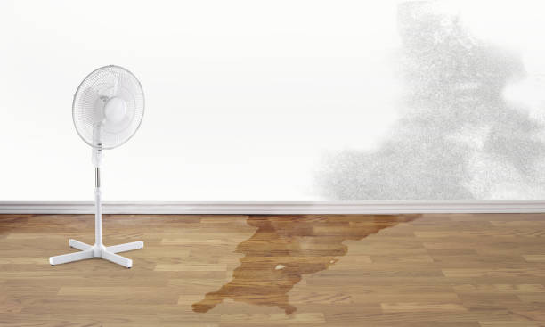 Best Emergency water damage restoration  in Penn Wynne, PA