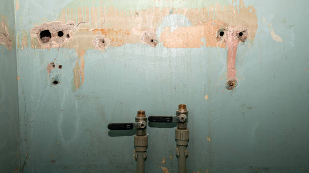 Best Carpet water damage restoration  in Penn Wynne, PA